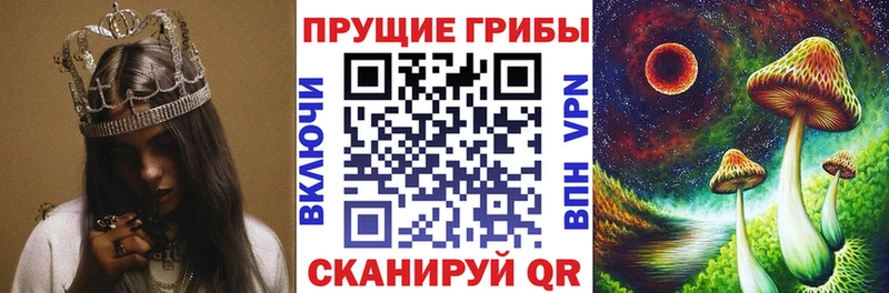 Купить закладки  Новое Девяткино  Галлюциногенные грибы мицелий 